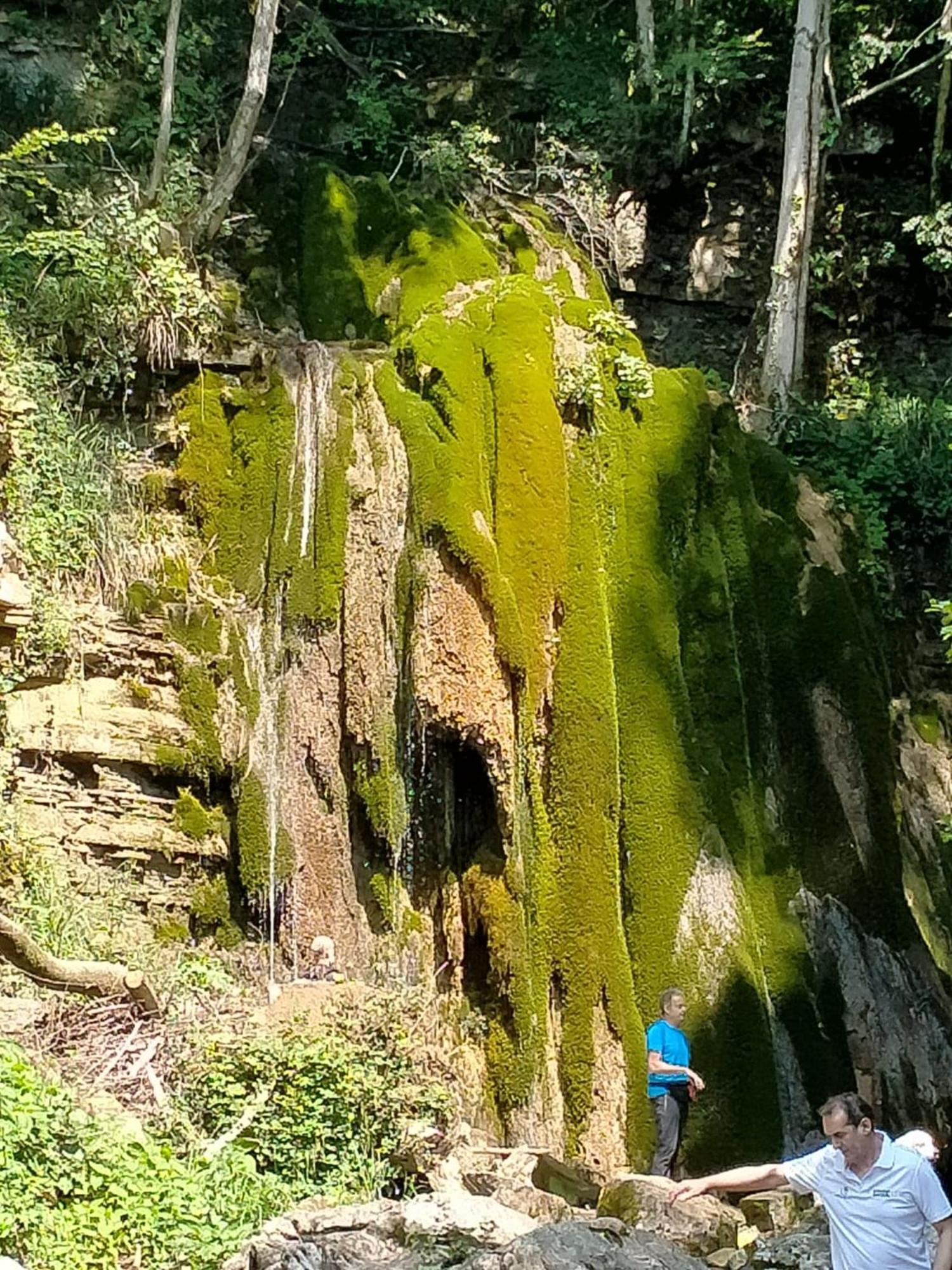 Alloggio Petrigh Canal di Grivo Exteriör bild